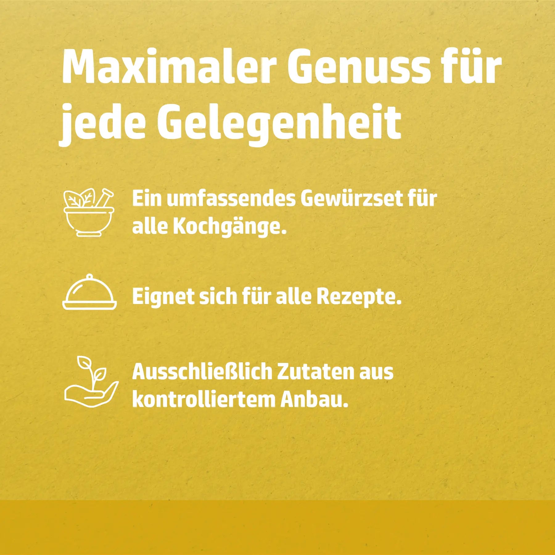 Hensslers 12er XXL-Gewürzset Gewürze Hensslers