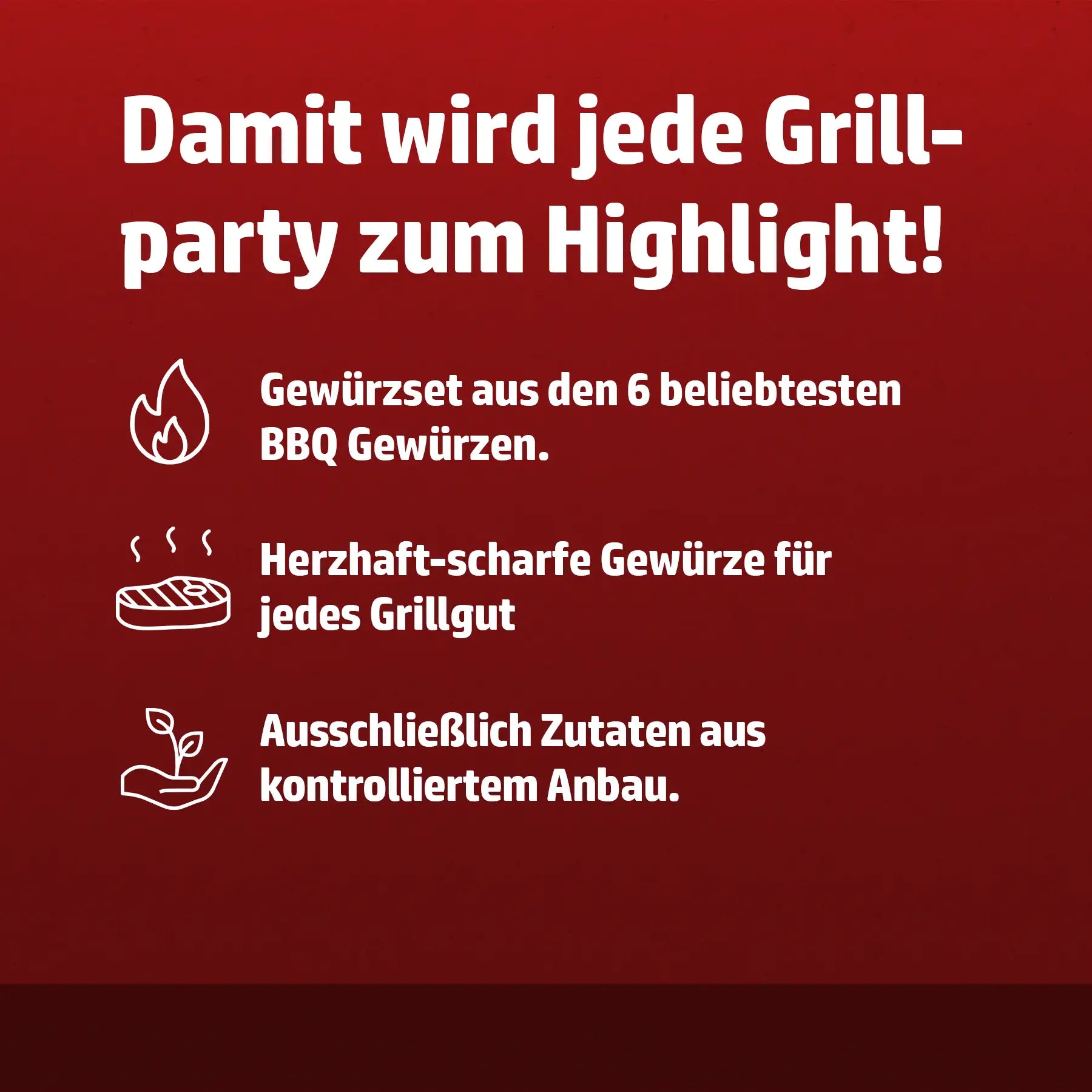 Hensslers 6er-BBQ Set Gewürze Hensslers